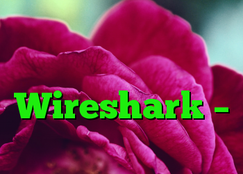 تجزیه و تحلیل داده ها با استفاده از Wireshark – هلموت کارگر