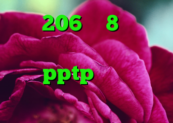 خرید 206 وی 8 کارکرده خرید اکانت پروکسی خرید سرور pptp نحوه ی خرید مترجم ویرا