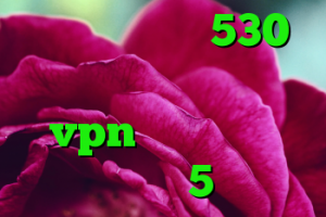 خرید ام وی ام 530 آنتی فیلتر سیسکو خرید vpn امارات خرید وینگل 5