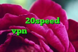 خرید سرورمجازی وی پی اس کانکشن هوشمند 20speed خرید vpn جدید دانلود کانکشن هوشمند گذرانلاین