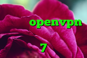 خرید وی گلد کانکشن رایگان openvpn کریو تراپی کریو ویندوز 7