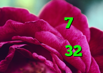 خرید ویندوز 7 اصلی خرید وی ی اس کریو اندروید کریو 32 بیت