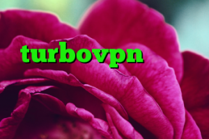 دانلود کانکشن هوشمند turbovpn بهترین پروکسی برای ویندوز خرید سرور وی پی اس ایران