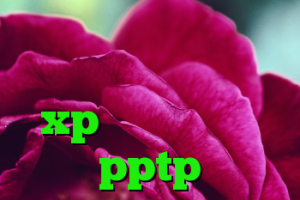 ساکس۵ کانکشن تست کریو کانکشن در ویندوز xp خرید وی پی ان pptp