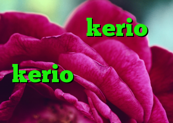 علت قطعی kerio دانلود کانکشن فیلتر شکن kerio کانکشن هوشمند زرین انتی فیلتر انلاین