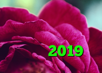 لیست بهترین ارائه دهنده خدمات فیبر نوری در سال 2019