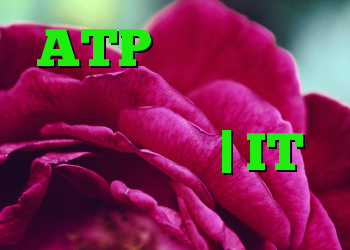ATP اعتبار سرقت مدافع مایکروسافت آیا گم شده اید؟ | IT متولد شده است