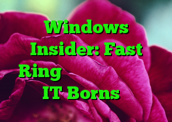 Windows Insider: Fast Ring دیگر نسخه های بهبود یافته IT Borns را ندارد