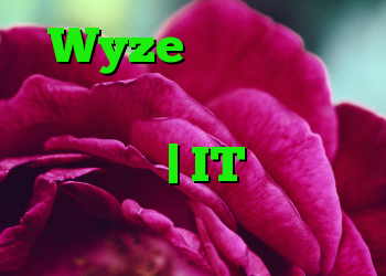 Wyze ارائه دهنده اینترنت اشیاء نشت داده ها را پذیرفت | IT متولد می شود