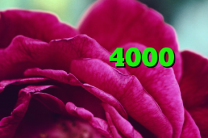 آنتی فیلتر رایگان ویندوز خرید کریو 4000 دانلود کانکشن هوشمند سیسکو کریو برای مک