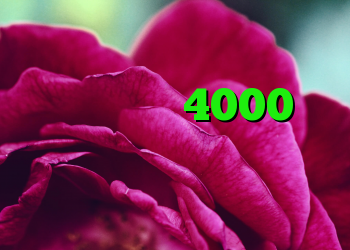 آنتی فیلتر رایگان ویندوز خرید کریو 4000 دانلود کانکشن هوشمند سیسکو کریو برای مک