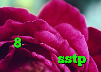 آنتی فیلتر رایگان ویندوز کانکشن در ویندوز 8 خرید وی پی ن لایک فروش اکانت sstp