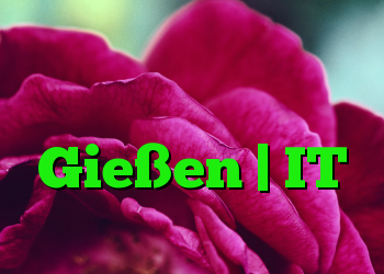 اخبار در مورد عفونت ویروسی در دانشگاه Gießen | IT متولد می شود