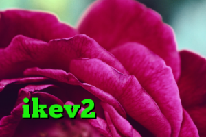 انتی فیلتر اندرویدی نحوه ی خرید ویزا کارت کانکشن جدید سیسکو خرید فیلتر شکن ikev2 برای بلک بری