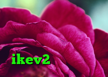 انتی فیلتر اندرویدی نحوه ی خرید ویزا کارت کانکشن جدید سیسکو خرید فیلتر شکن ikev2 برای بلک بری