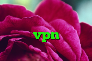 اینترنت کانکشن شیرینگ کانکشن استرینگ چیست خرید vpn و تست دانلود کانکشن اندروید