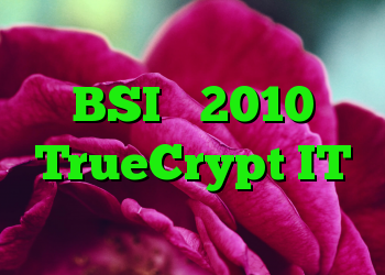 حسابرسی منتشر نشده BSI و 2010 TrueCrypt IT متولد می شود