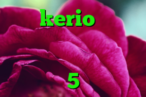 خرید kerio پر سرعت کانکشن پرتابل دانلود کانکشن شاتل خرید وی 5