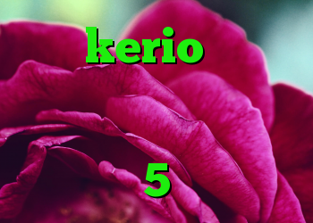 خرید kerio پر سرعت کانکشن پرتابل دانلود کانکشن شاتل خرید وی 5