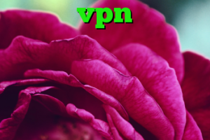 خرید vpn ترکیه دانلود کانکشن گیگا پروکسی کدام فیلترشکن کار میکند چگونه کانکشن را حذف کنیم