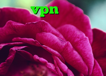 خرید vpn ساکس خرید فیلتر شکن مخصوص تلگرام دانلود کانکشن فیلتر شکن اندروید آنتی فیلتر اندروید سایفون
