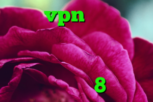 خرید vpn کریو برای ایفون شر کانکشن دانلود کانکشن هوشمند سیسکو فروش وی 8