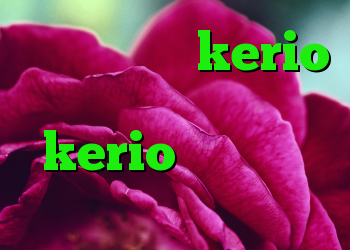 خرید اشتراک kerio انتی فیلتر سریع kerio سایت آنتی فیلتر فری گت