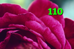 خرید ام وی ام 110 فیلترشکن جدید برای تلگرام دانلود کانکشن اسپید چگونه کانکشن ایجاد کنیم