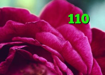 خرید ام وی ام 110 فیلترشکن جدید برای تلگرام دانلود کانکشن اسپید چگونه کانکشن ایجاد کنیم