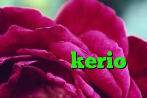 خرید ام وی ام صندوق دار کانکشن لوله تراشه راهنمای kerio دانلود کانکشن مولتی