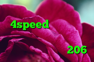 خرید اکانت کریو 4speed بهترین آنتی فیلتر ها خرید وی پی ن برای اندروید کروز کنترل 206