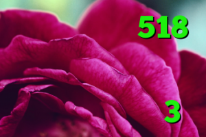 خرید بی ام وی 518 خرید کد آنتی ویروس دانلود کانکشن هوشمند کریو خرید وینگل 3