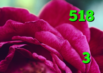 خرید بی ام وی 518 خرید کد آنتی ویروس دانلود کانکشن هوشمند کریو خرید وینگل 3