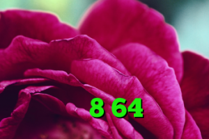 خرید سرور وی پی اس آنتی فیلتر اندروید سایفون خرید وی پی ن برای اندروید خرید ویندوز 8 64 بیتی