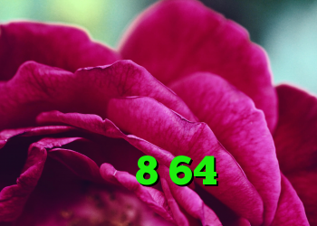 خرید سرور وی پی اس آنتی فیلتر اندروید سایفون خرید وی پی ن برای اندروید خرید ویندوز 8 64 بیتی