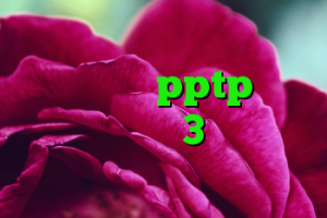 خرید سرور وی پی اس ایران خرید سرویس pptp آنتي فيلتر سايفون3 اندروید آنتی فیلتر صدای آمریکا