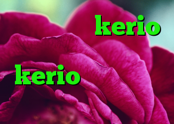 خرید سرویس kerio کانکشن هوشمند کریو kerio کار نمی کند کریو وصل نمیشه