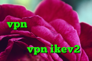خرید لایسنس وی بی خرید vpn همراه با تست رایگان دانلود انتی فیلتر پرسرعت خرید vpn ikev2