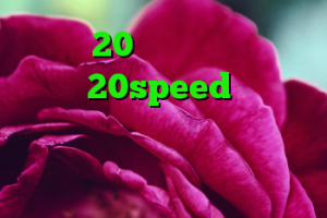 خرید وی 20 ال جی دانلود کانکشن هوشمند 20speed کریو خوب بهترین و سریع ترین فیلترشکن شبکه های اجتماعی