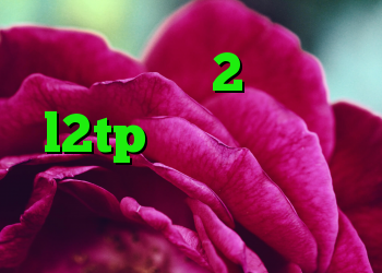 خرید ویو 2 خرید l2tp آنتی فیلتر پر سرعت دانلود کانکشن زرین