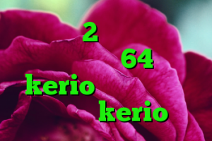 خرید ویو 2 دانلود رایگان کانکشن کریو 64 بیتی kerio فایروال خرید بهترین kerio