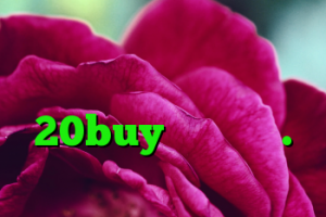 دانلود کانکشن امپراطور خرید وی پی ان 20buy کریو دانل.د کریو