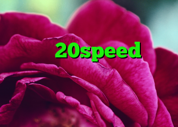 دانلود کانکشن ساکس دانلود کانکشن 20speed برای اندروید خرید ویژه دیجی کالا ساکس مخصوص تلگرام