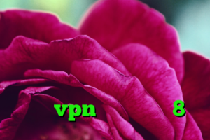دانلود کانکشن سیسکو برای کامپیوتر بهترین فیلترشکن چیه ؟؟ کلیک کن اینجا خرید ویلا ی ساحلی خرید vpn برای ویندوز 8