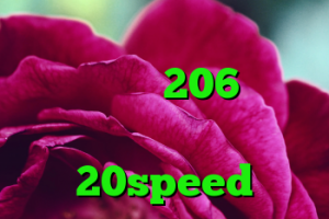 دانلود کانکشن فری گیت پروکسی خرید 206 وی هشت دانلود کانکشن جدید 20speed