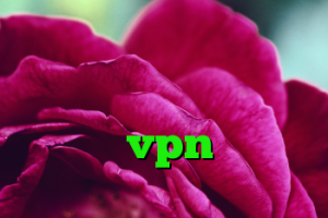 دانلود کانکشن فیلتر شکن کریو باز کردن شبکه های اجتماعی با سرعت بالا خرید vpn شاتل کانکشن وایرلس لپ تاپ