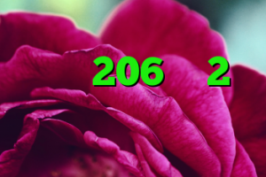 دانلود کانکشن مدوکس خرید 206 وی 2 کانکشن تابلو برق دانلود کانکشن زرین