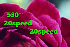 دانلود کانکشن مدوکس خرید ام وی ام 530 قسطی دانلود کانکشن هوشمند 20speed برای اندروید دانلود کانکشن هوشمند 20speed برای اندروید