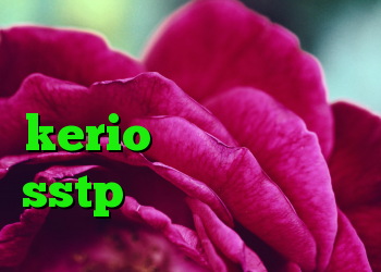 دانلود کانکشن موبایل kerio سرور خرید اکانت sstp ساکس مخصوص تلگرام