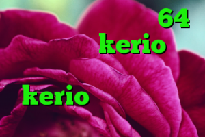 دانلود کانکشن کریو 64 بیت رایگان kerio شرح دانلود کانکشن جدید kerio خرید دی وی دی قهوه تلخ